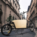 Hochwertiges Cargo -Fahrrad 250W Stadtfahrrad Ecargo