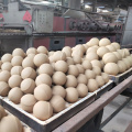 10~90mm Alumina Ceramic Ball for Grinding Machine