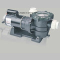 Professional Swimming Pool Pump Equipment