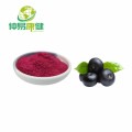 100% Natural Acai Berry Extract Anthocyanins