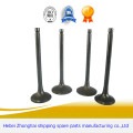 Auto FIAT Diesel Spare Engine Valve spindle