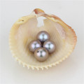 Snh Grey Color Natural Dye Color Loose Pearls