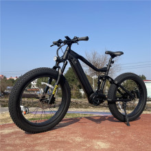Bicicleta eléctrica Bicicleta Ebike Bicicleta de neumáticos de grasa eléctrica