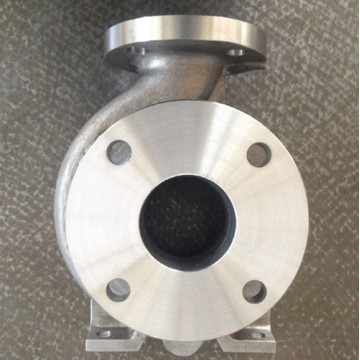 Centrifugal Stainless Steel/Titanium Goulds Pump Casing