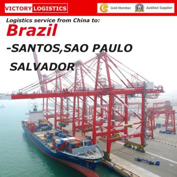 20FT/40FT Shipping Container From China to Brazil