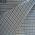 Cotton Poplin Woven Yarn Dyed Fabric for Garments Shirts/Dress Rls50-24po