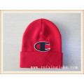 Men pile coating logo knitted hat