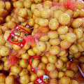 Yellow Sweet Baby Mandarin with Carton Packing