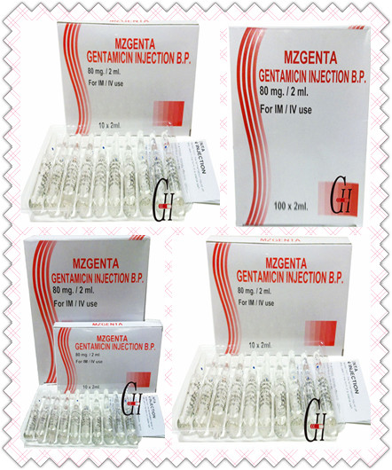 Gentamicin Injection