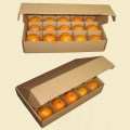 Fresh Fruit Corrugated Outer Carton Box