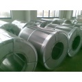 Hot Selling Packling Steel Bobil SPHC