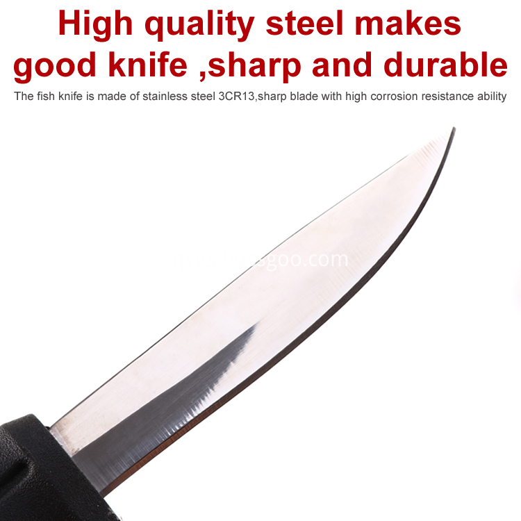 Fillet Knife Steel