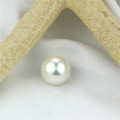 Mother of Shell Loose Pearls Size 12mm Perfect Round Shell Pearl Beads