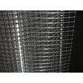 Stainless Steel Welded Mesh