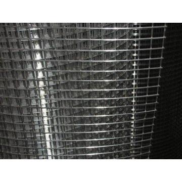 Stainless Steel Welded Mesh