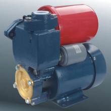 Water Pump (DGP-130)