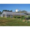 Tunnel Plastic Film Greenhouse the cultivation of vegetables