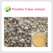 Extracto caliente del 100% Natual Pimellia Tuber de la venta