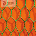 Hot dipped galvanized pvc coated hexagonal wire mesh