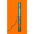 Fish Pond Sea Water Stainless Steel Submersible Pump