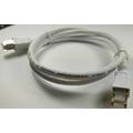 2000Mhz SFTP Patchkabel Cat8 Ethernet Lan Kabel