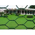 Netting de fil hexagonal enduit de PVC