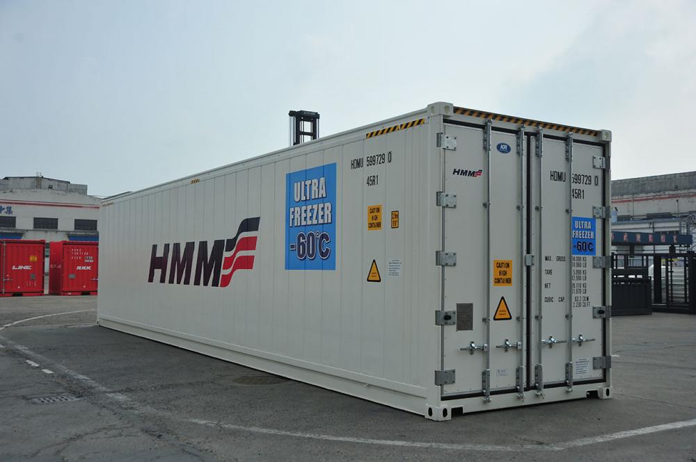 Ultra Deep Freezer Container