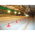 Nozzle Spray in Poultry Farm with Good Quality