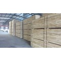 Poplar folheado laminado de madeira para construção