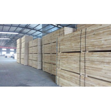 Poplar folheado laminado de madeira para construção