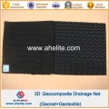 Virgin HDPE Geonet Core Geocomposite Drainage Net