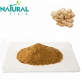 buy factory dried ginger extract powder