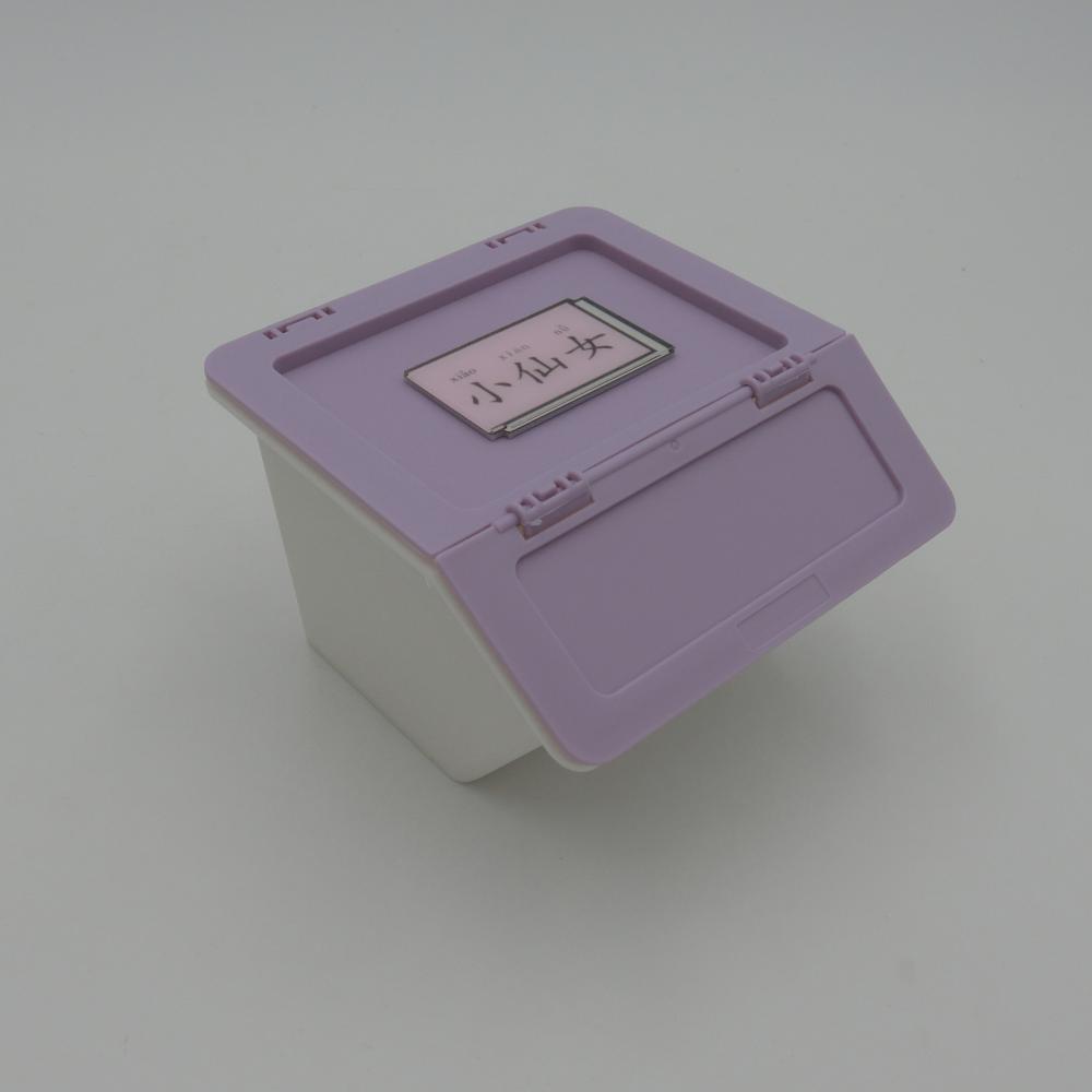 Foldable Plastic Box