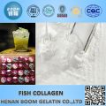 Fish collagen protein