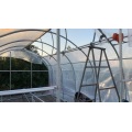 Skyplant Garden Small Plastic Top Ventilation Greenhouse