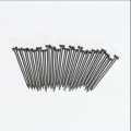 Steel Concrete Nails / Galvanized Concrete Nails