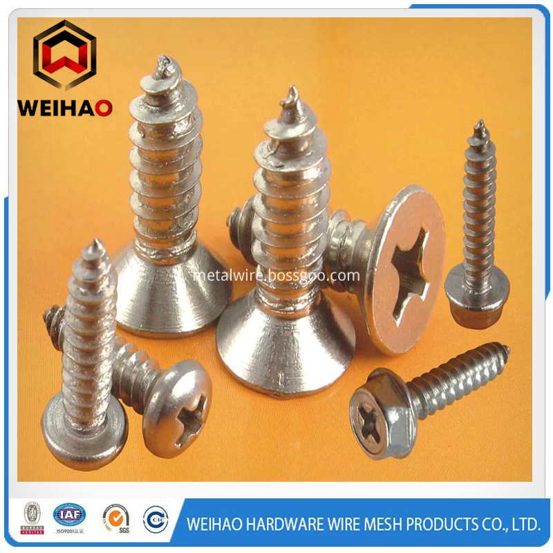 self tapping screw qq