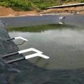 Polyethylene HDPE Geomembrane for aquatic application