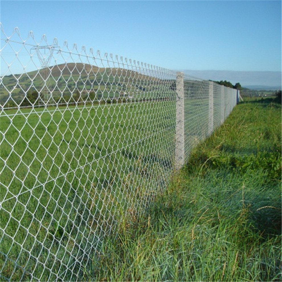 Chain Link Field Fence