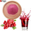 Fresh Fruit Cranberry Fruit Freeze Dried Powder