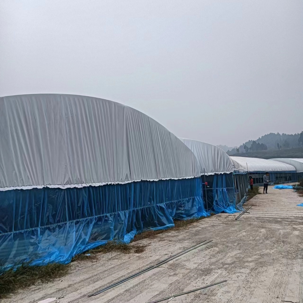 Single Greenhouse For Poultry Breeding Single Greenhouse For Poultry Breeding