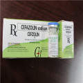 Cefazolin Powder for Injection 1g