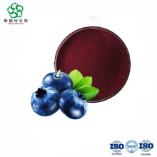 Extrato de planta 25% Antocianinas Extrato de Bilberry