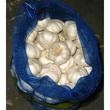 New Crop Pure White Garlic Supplier