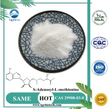 Supply 99% S-Adenosyl-L-methionine SAMe Powder