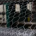 Galvanized Hexagonal Wire Mesh