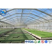 Films HDPE transparents pour piscines/agriculture/membrane étanche