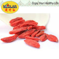 Níspero chino Wolfberry Ningxia Goji