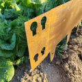 Decoration Corten Steel Garden Edging For Landscape