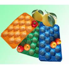 Plateau de fruits en plastique 39X59cm